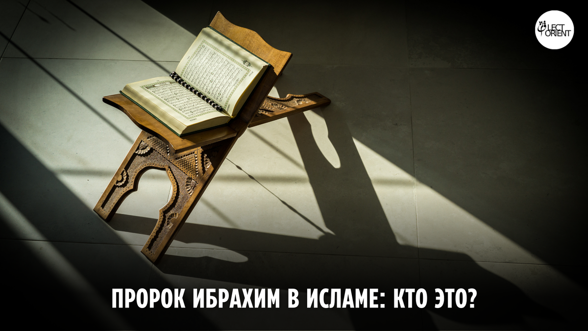 Фото взято из открытого фотостока Canva