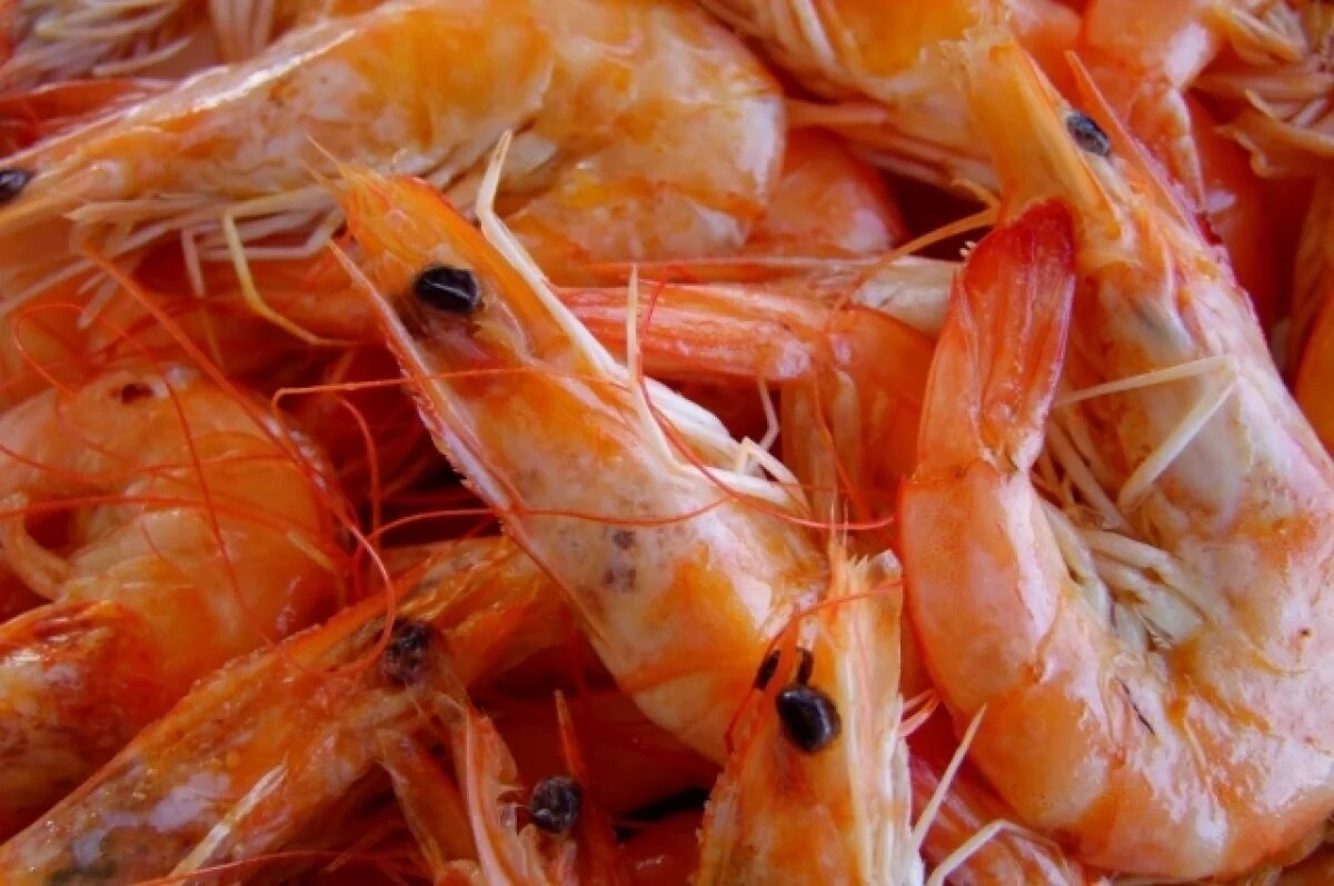    На омской границе с Казахстаном задержали грузы с креветками и мясом