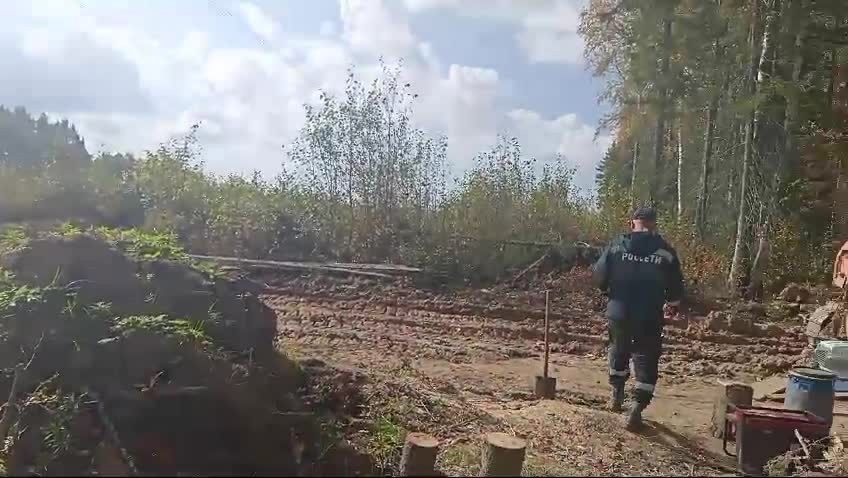 Встреча с вахтовиками обречённым питомцам жизнь