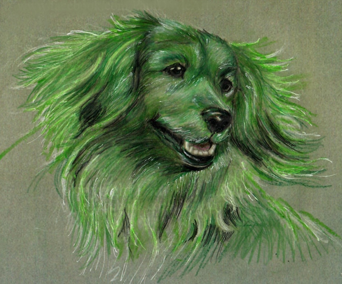 Изображение взято в интернет