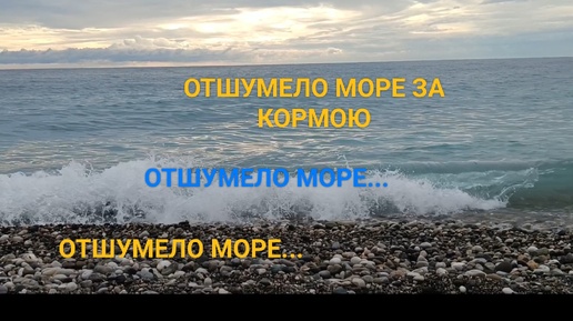 И это всё о нём... Море в Гагре. Сентябрь 2024 г.