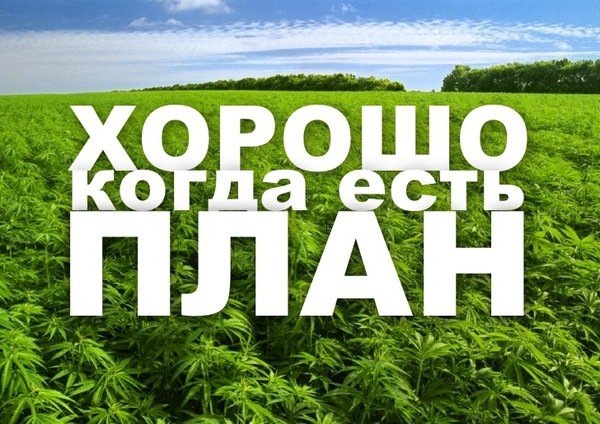А ещё лучше, когда в нём целых пять пунктов! Четыре сразу, а пятый "на потом"! 