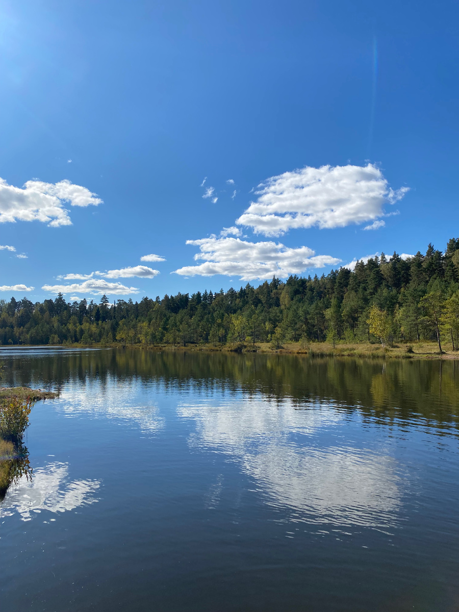 Очень красивая природа 