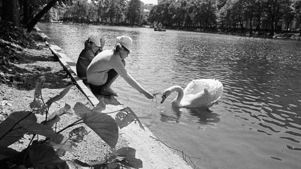 Чистые пруды екатеринбург. Чистые пруды 2000. Я на чистом пруду. Чистые пруды пруд. Я на чистом пруду.