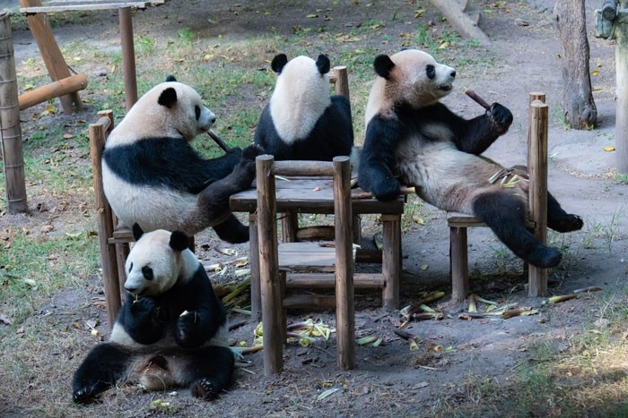 Источник: boredpanda.com