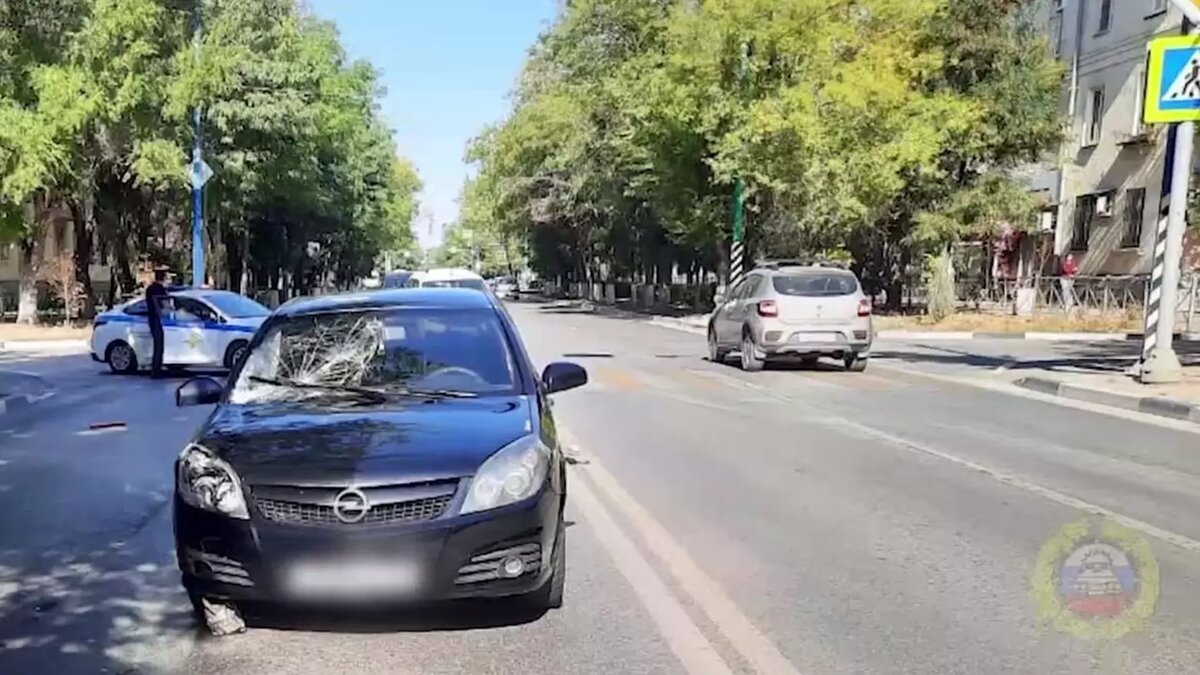     Источник: ГУ МВД по Волгоградской области