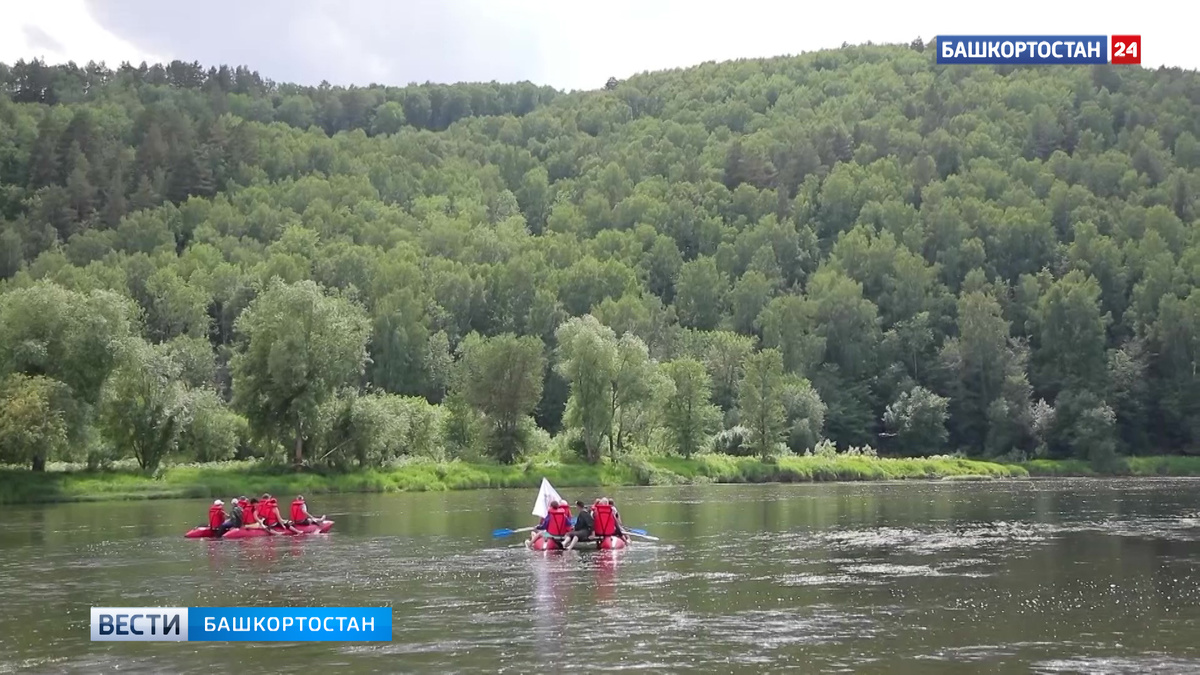    В Башкортостане за год количество субъектов МСП увеличилось на 4,9%