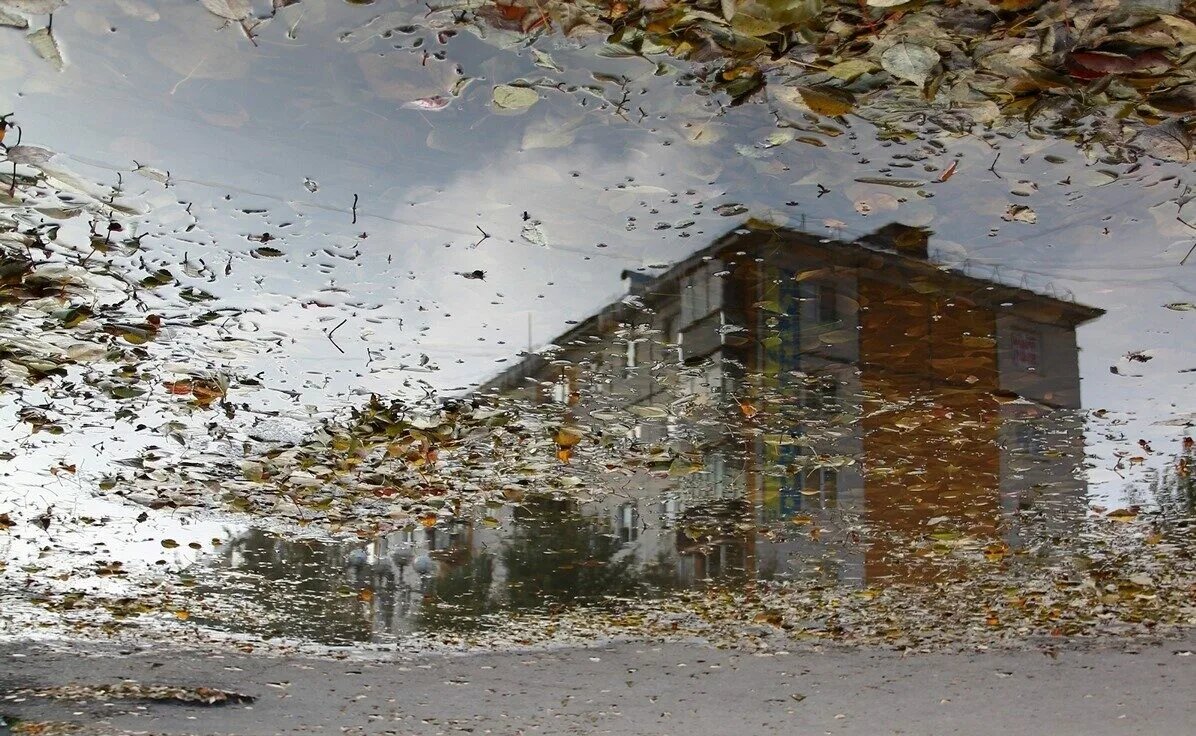 Яндекс картинки