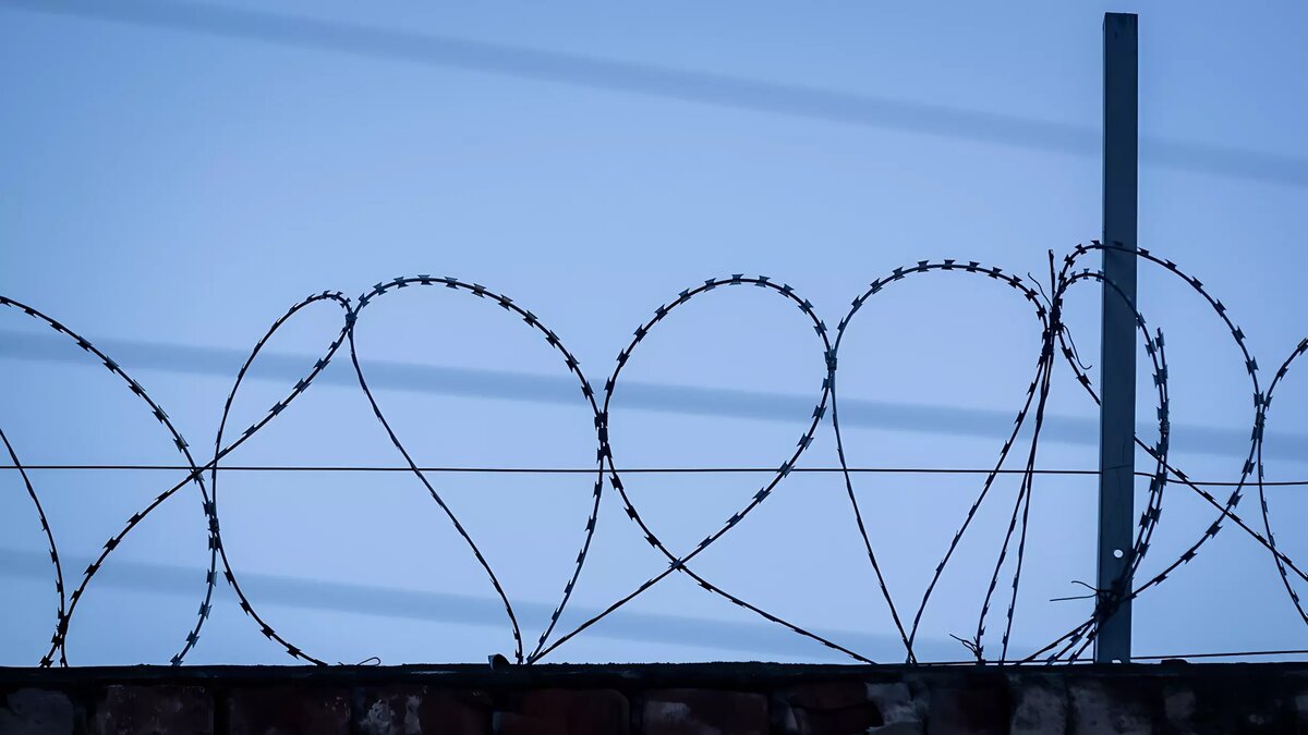     Источник: 1MI