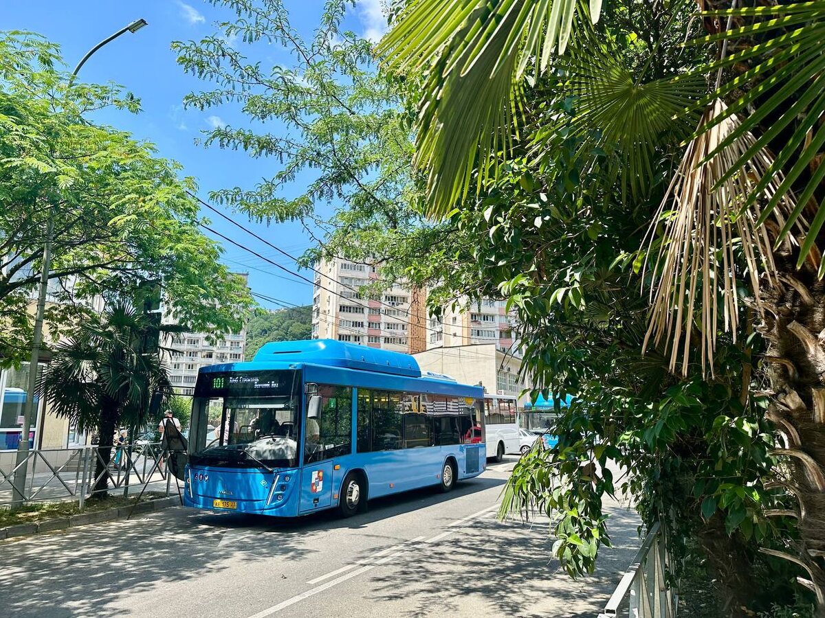    Фото: Telegram/МУП г.Сочи «Сочиавтотранс»