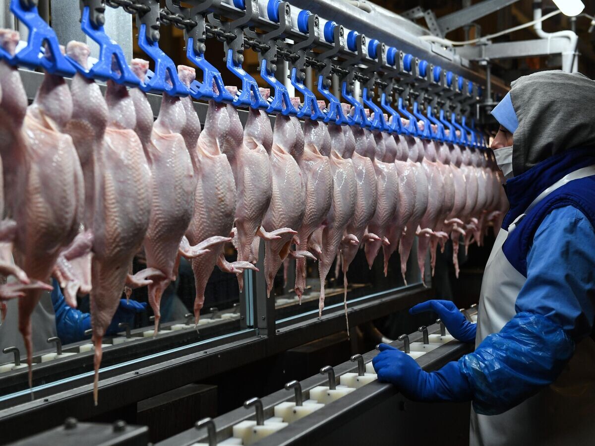    Сотрудник в разделочном цехе на птицефабрике "Октябрьская" в Новосибирской области© РИА Новости / Александр Кряжев