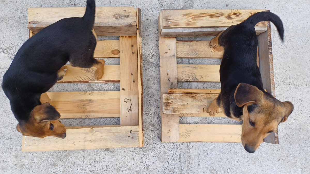 Доски и боковые части поддона.