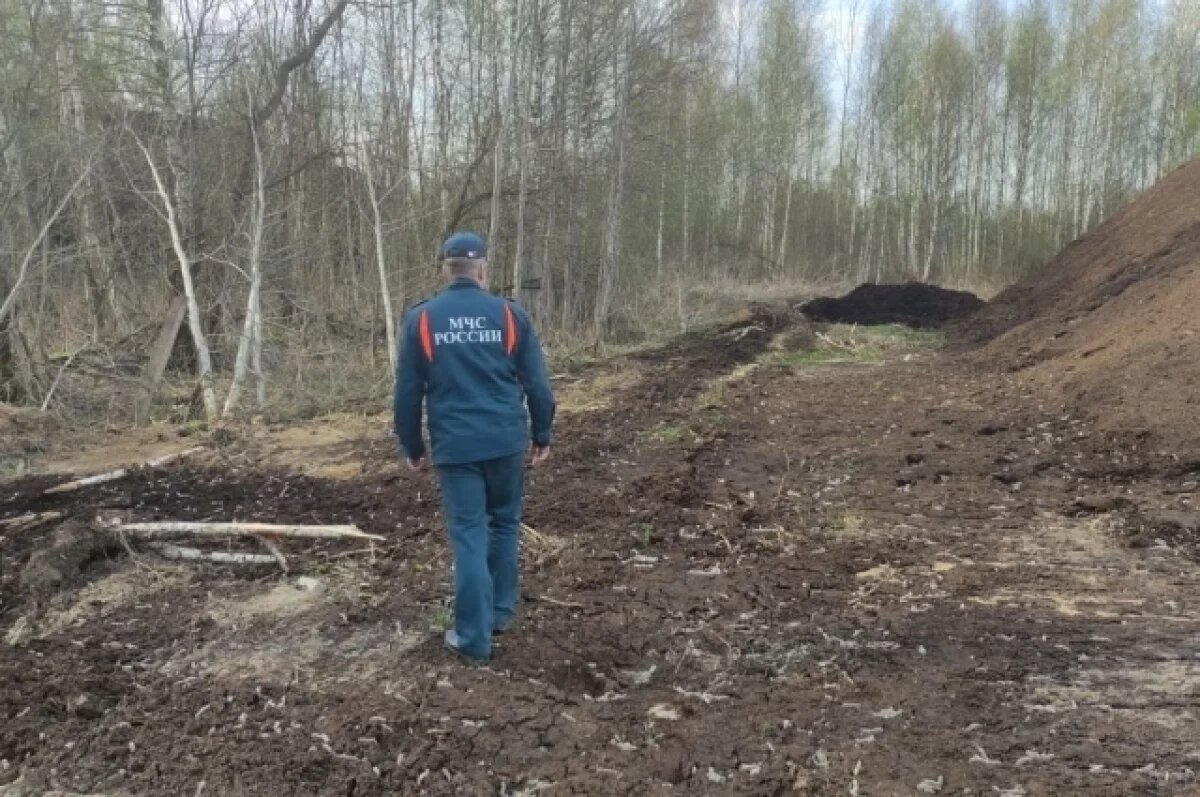    В Тверской области потушили лесной пожар