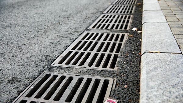    © Sputnik / Mihai Caraus