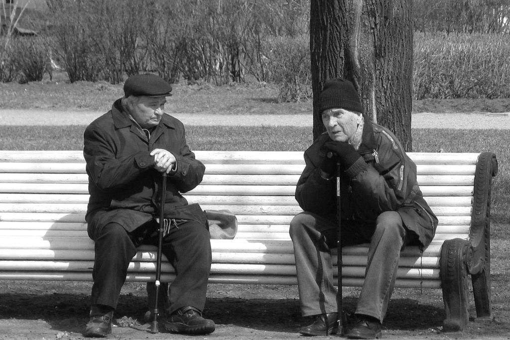 яндекс картинки