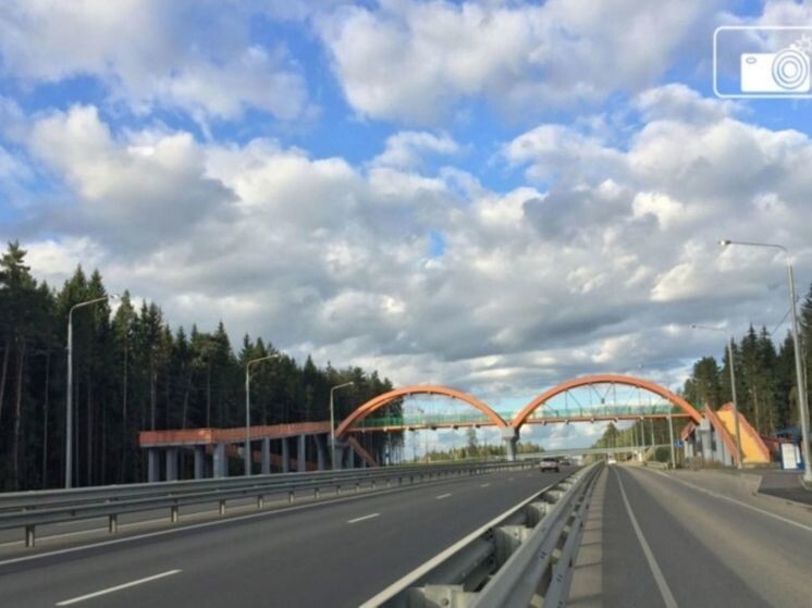     Фото: Центр безопасности дорожного движения Калужской области