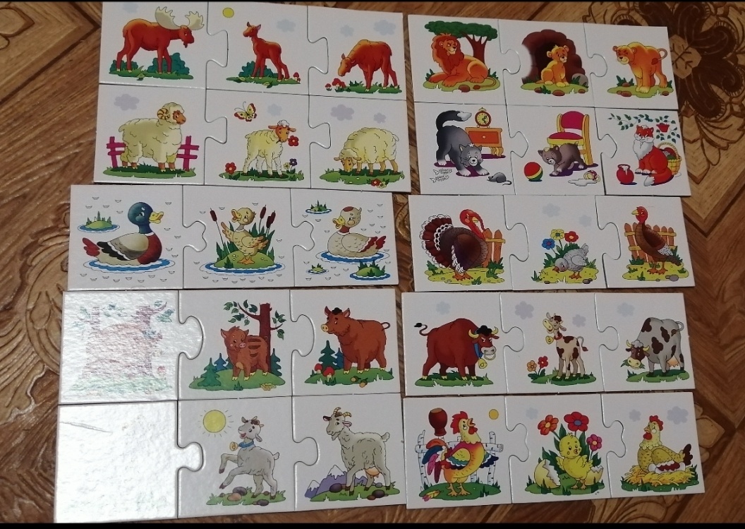 Игра "Семейки" 