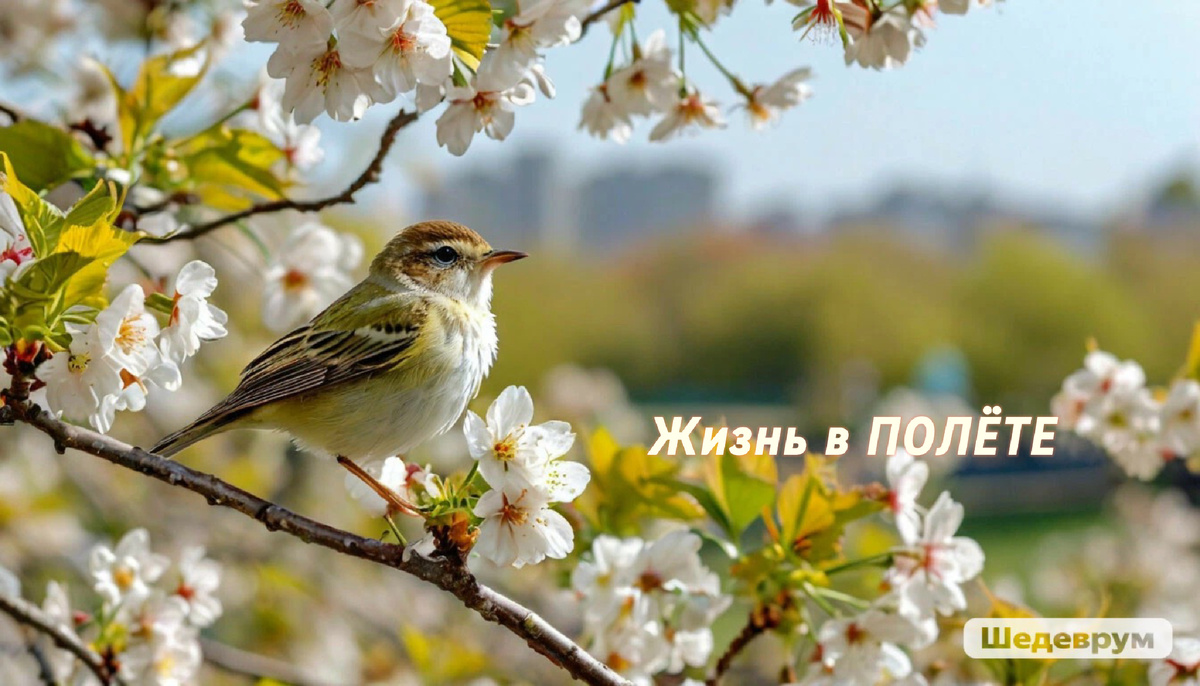 Иллюстрация автора