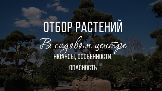 то нужно знать при покупке растений? Контрольная закупка в Садовом Центре. Главные ошибки садоводов