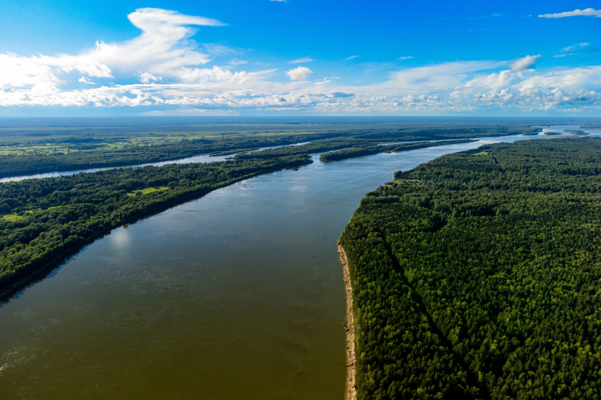 Обь стала домом для более чем 50 видов рыб. В её водах обитают стерлядь, щука, окунь, карась и другие. Фото: Shutterstock