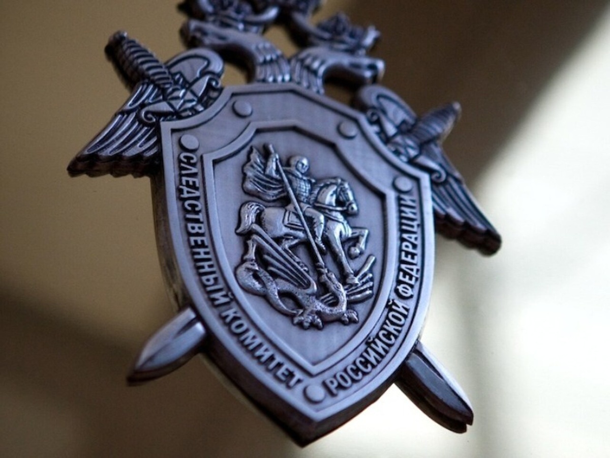    СК РФ завел дело после убийства боевиками ВСУ мирного жителя в Курской области