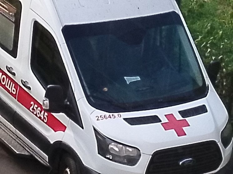     На место немедленно вызвали скорую помощь, но работник автосервиса получил травмы, несовместимые с жизнью. Фото: «МК в Ленобласти».