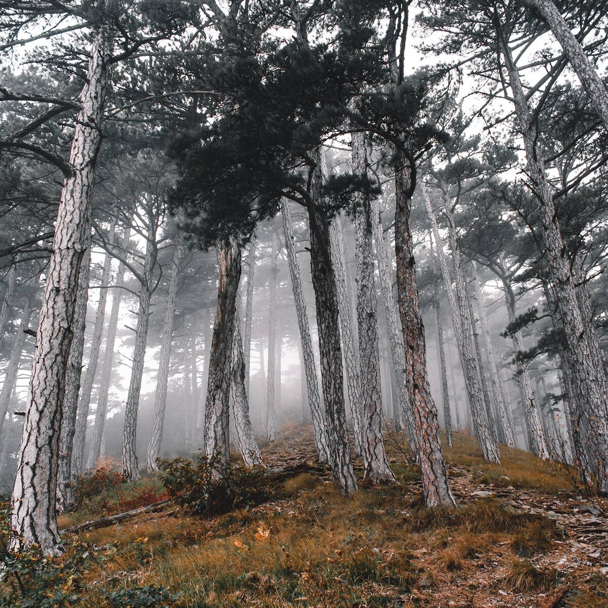 Таракташская тропа в Крыму осенью. Фото: @art_maltsev / unsplash.com.