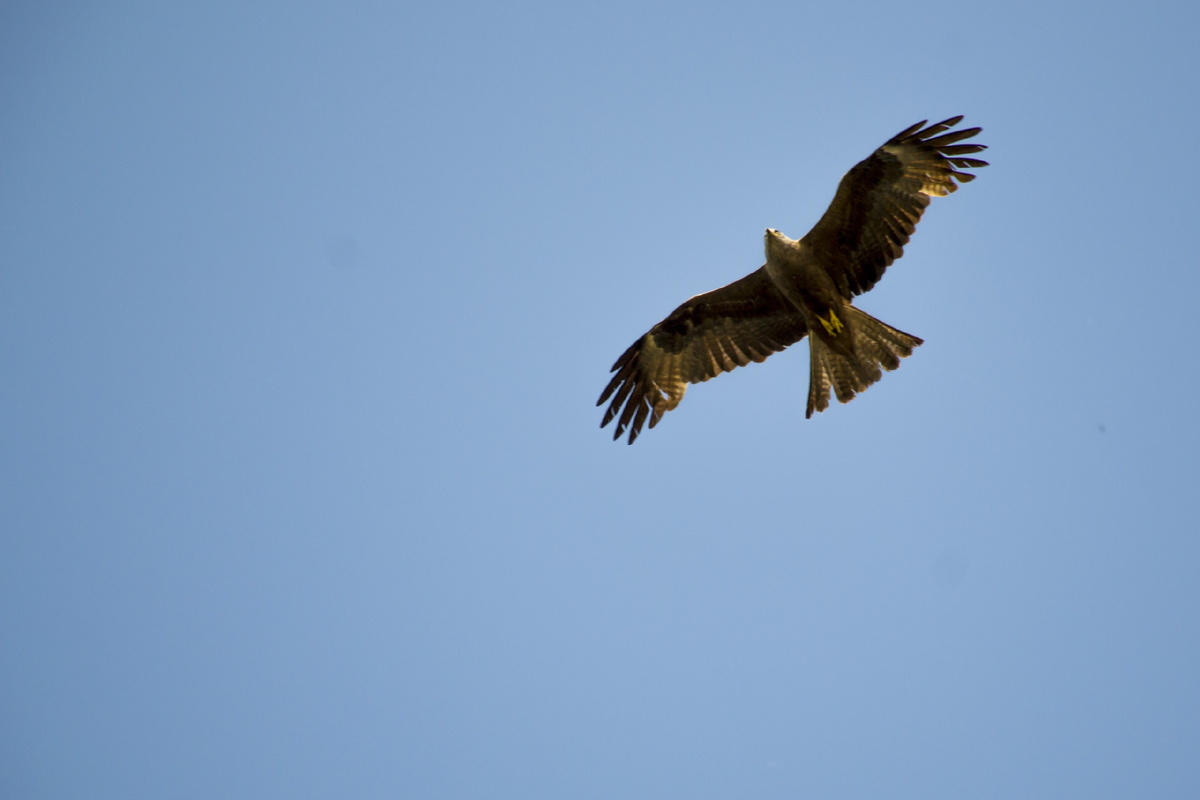 Как я себя ощущаю в начале пути