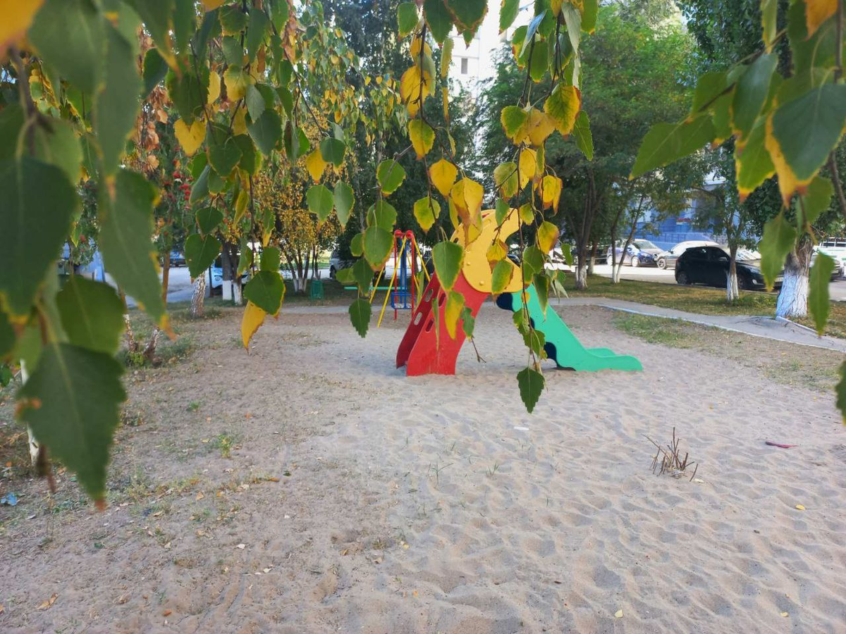 Фото автора.