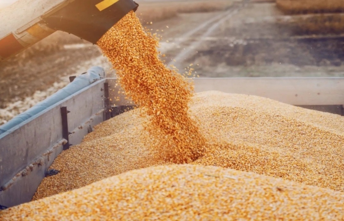    РЗС: экспорт российского зерна сократился на 18,7% в сентябре
