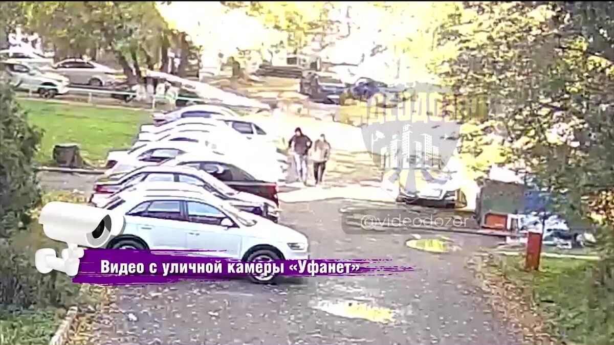    В одном из уфимских дворов внезапно упавшее дерево едва не убило двоих случайных прохожих
