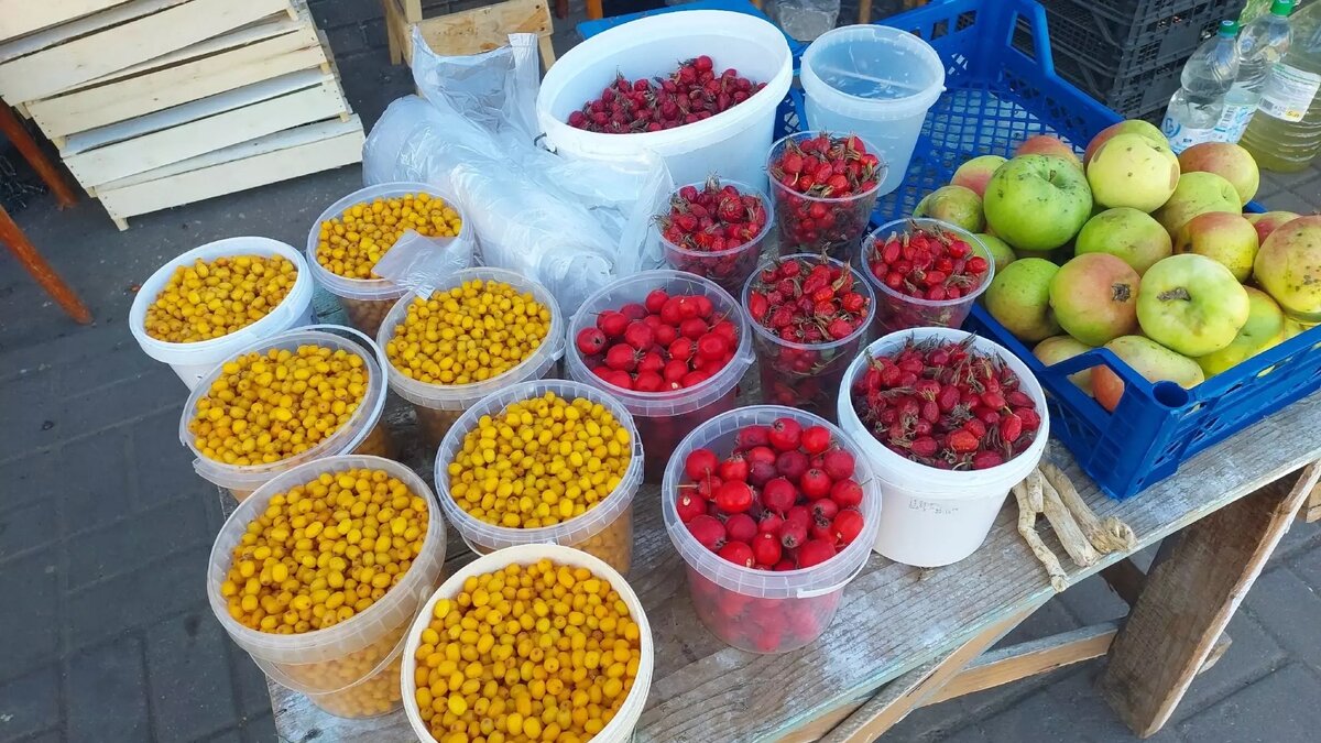     Источник: newsnn.ru