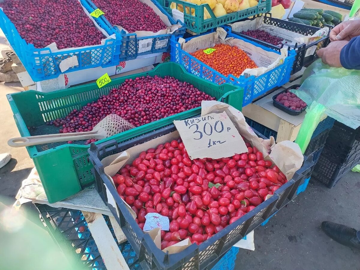     Источник: newsnn.ru