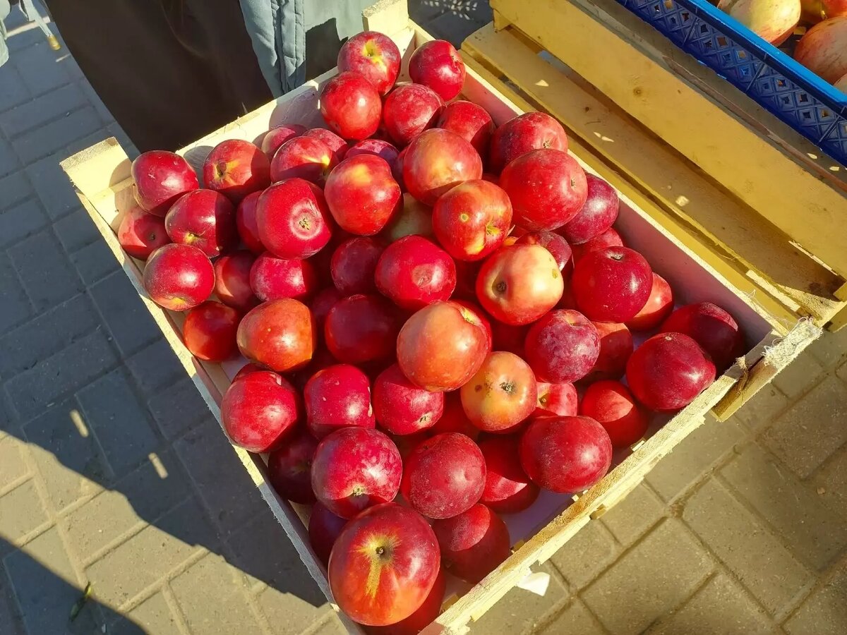     Источник: newsnn.ru