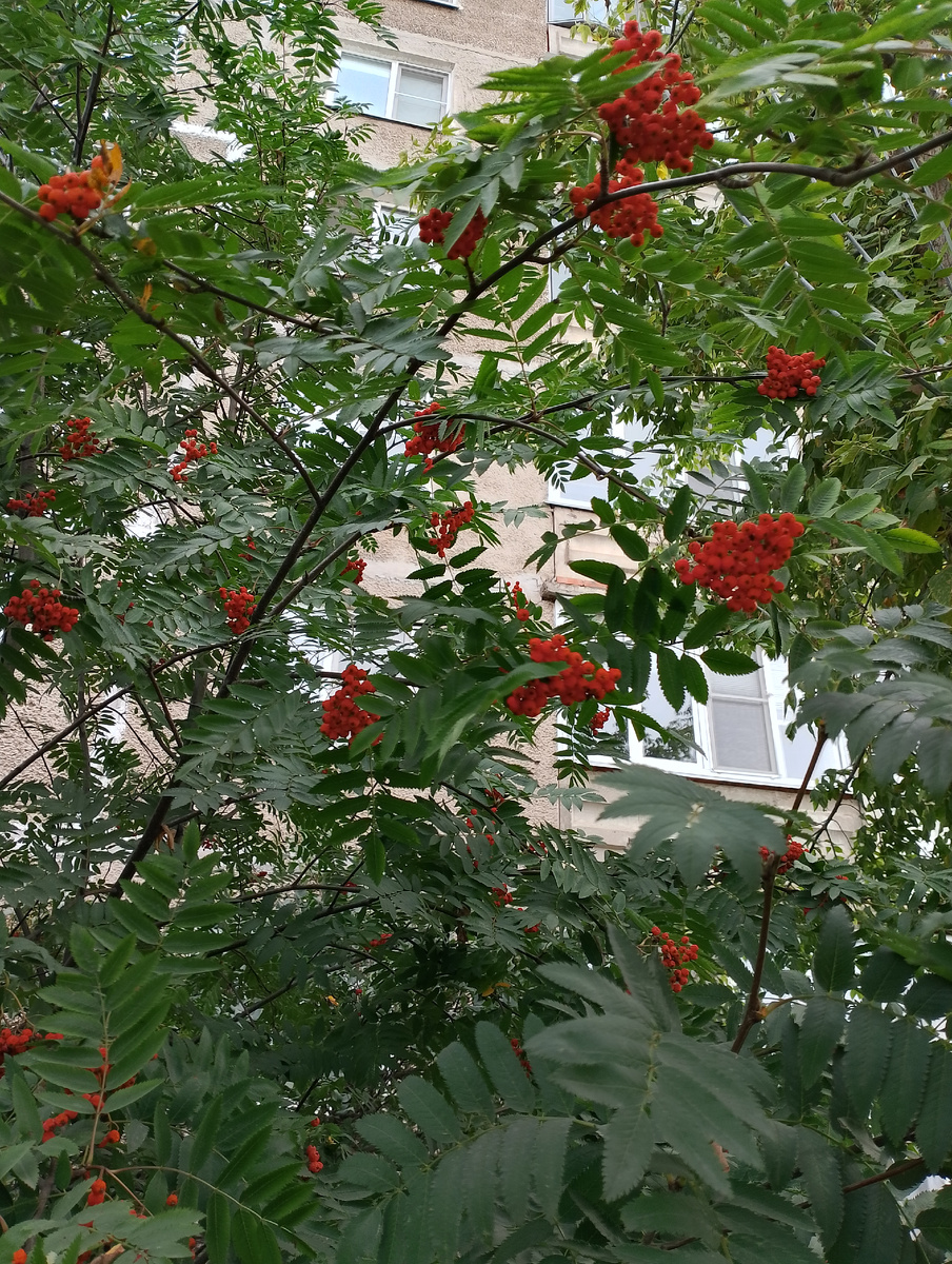 Фото автора.