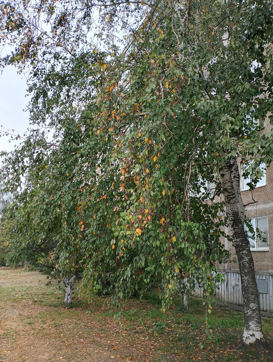 Фото автора.