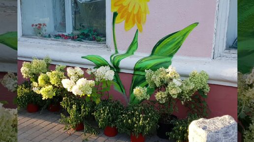 Фестиваль цветов в Белгороде