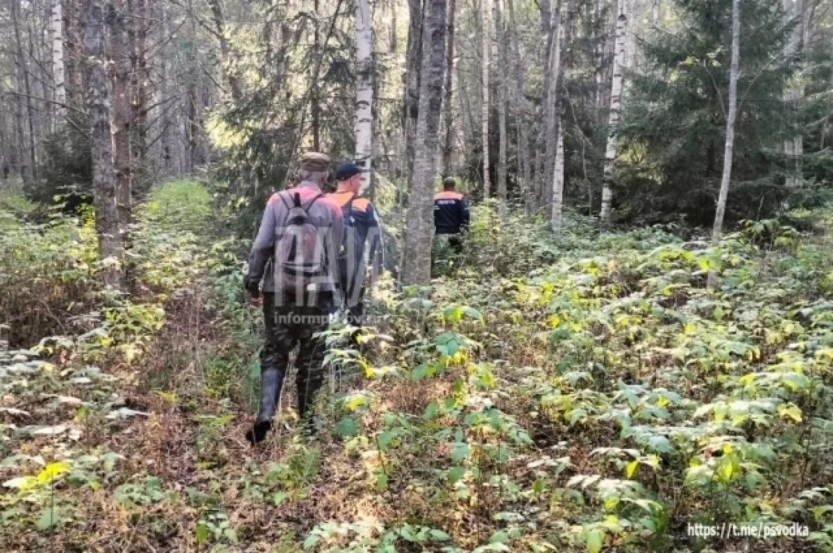    39 выездов совершила псковская аварийно-спасательная служба за неделю