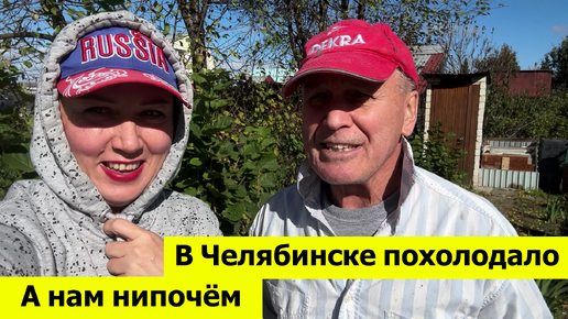 В Челябинске сильно похолодало, а нам всё нипочём! Муж удалил помидоры, я сажаю барбарисы