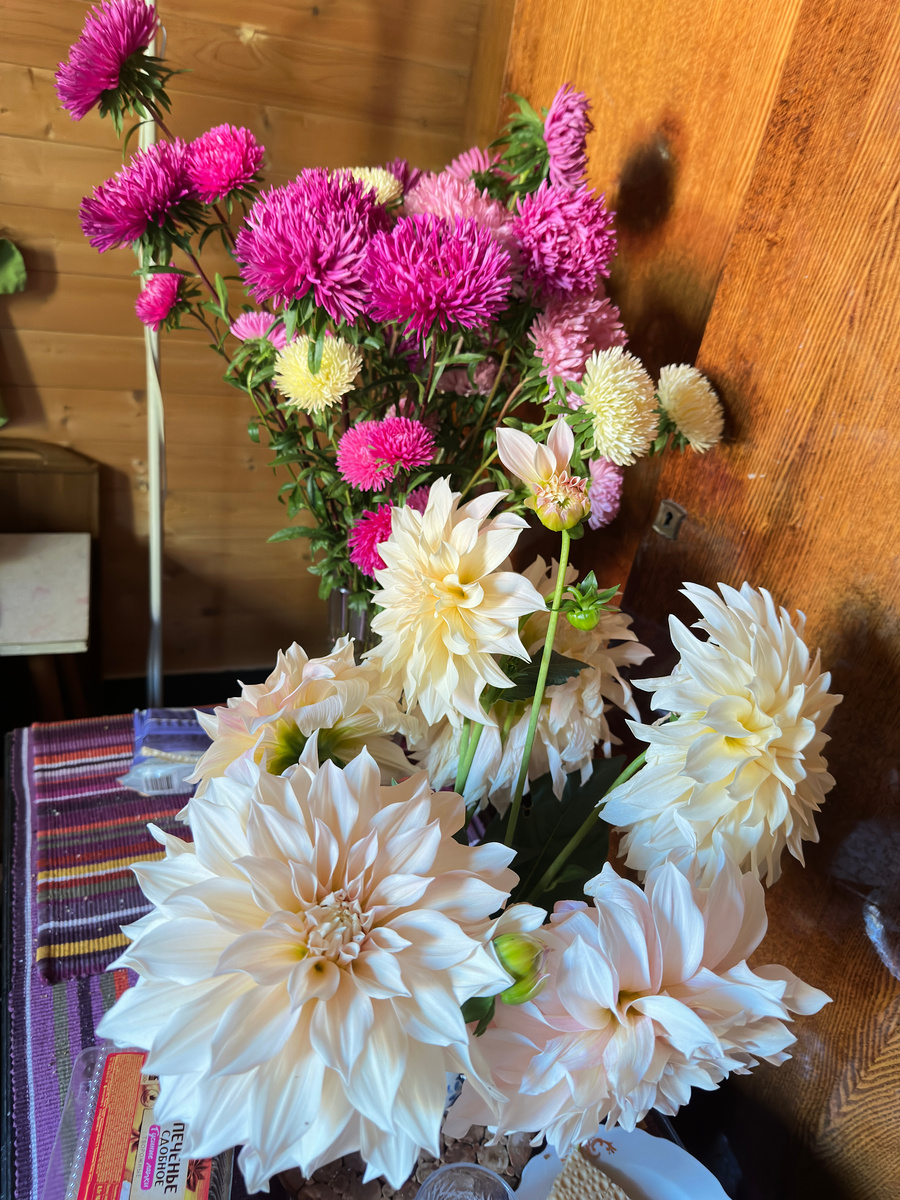 И дом непривычно наполнился букетами астр и георгинов.