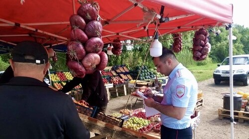    Фото: пресс-служба администрации Краснодара