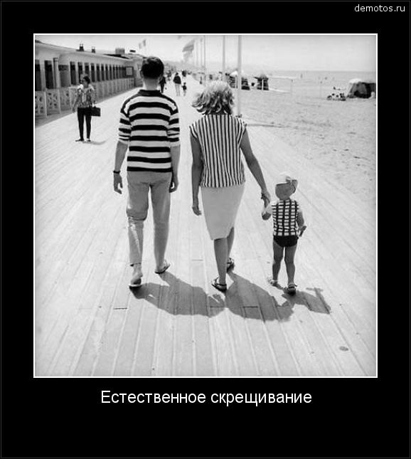 Генетика в представлении тех, кто НЕ сдает ЕГЭ по биологии.