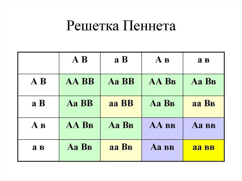Классика жанра, что называется.