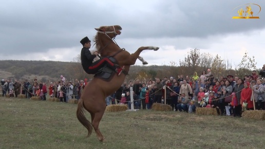 Конное шоу на Каргинской ярмарке.  2019