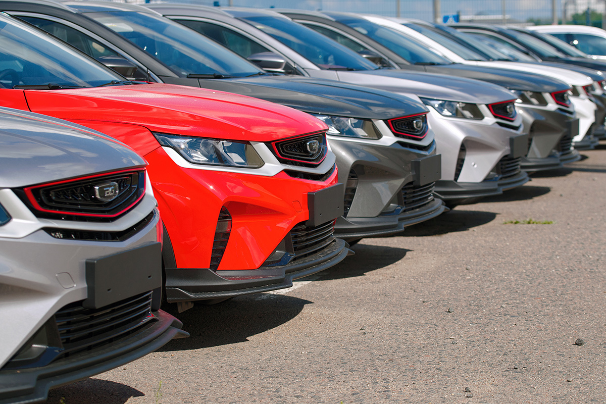    Фото: Tricky_Shark / Shutterstock.com