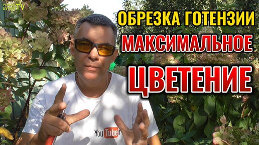 💥 Не делайте этих ошибок! Секреты обрезки метельчатой гортензии для потрясающего результата на максимальное и раннее цветение! 🌸🌺