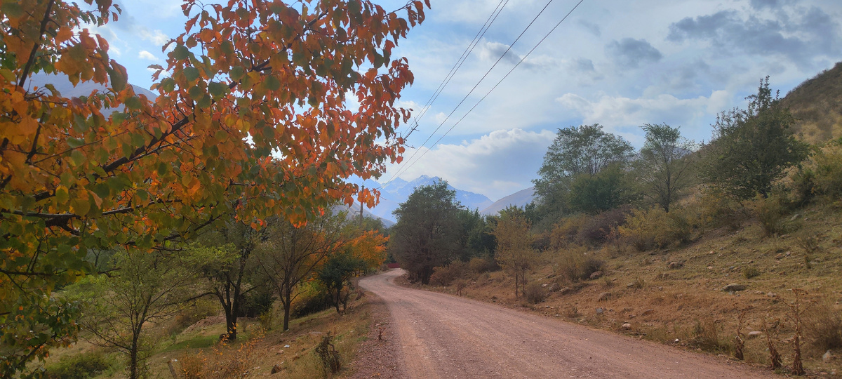 Качество дороги вполне приличное, лишь ближе к мосту будет несколько каменистых мест, но они вполне проезжаемы