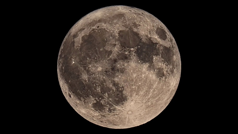    Фото: Shutterstock