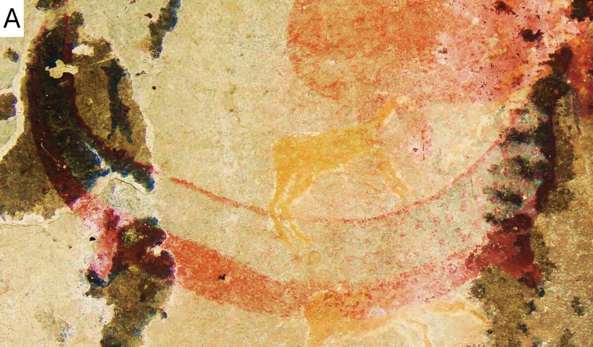 Тот самый рисунок. Источник: Julien Benoit, Plos ONE.