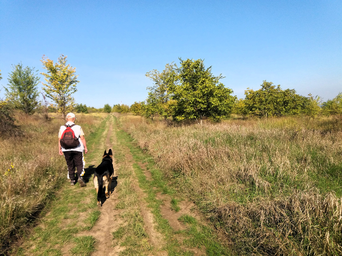 Фото автора